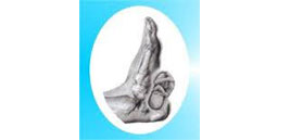 Maternity Reflexology